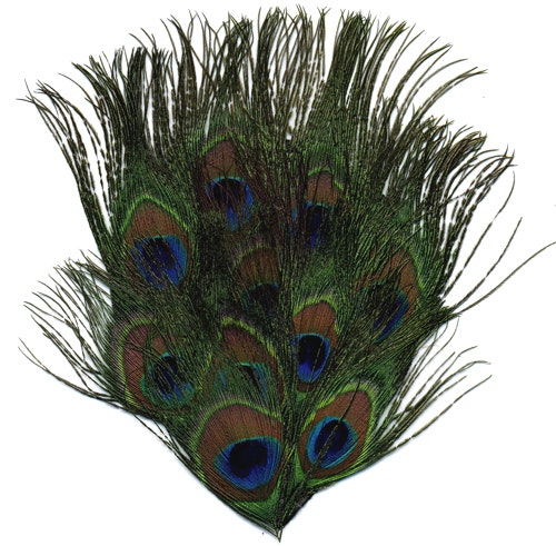 Full Peacock Eyes Feather Pad - Natural