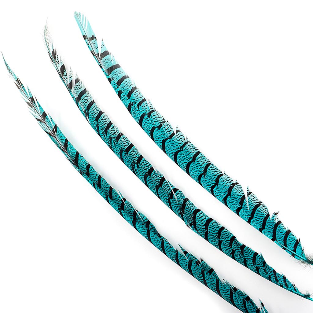 Lady Amherst Pheasant Tails - Dark Aqua