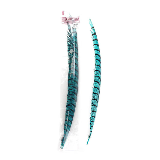 Lady Amherst Pheasant Tails - Dark Aqua