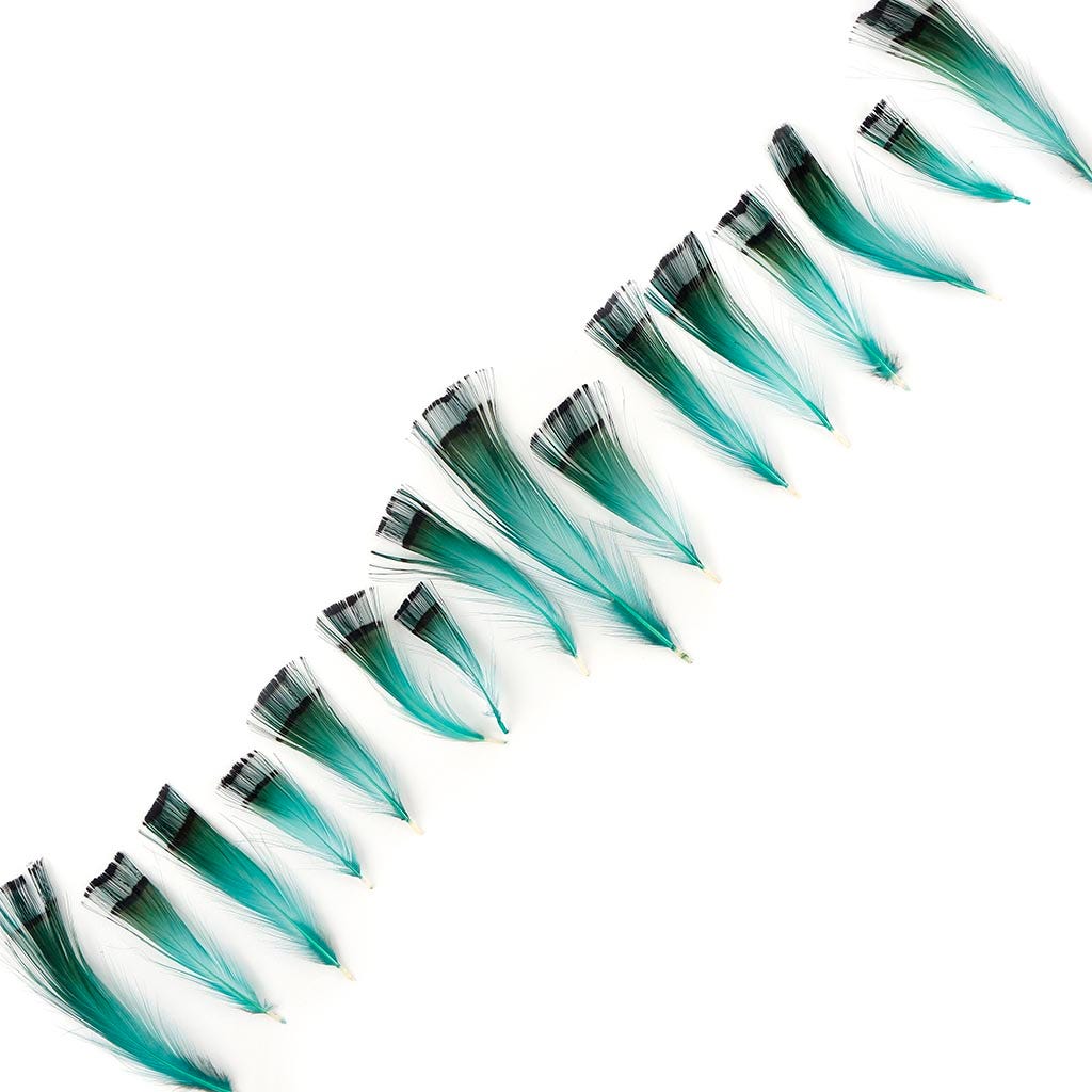 Pheasant Golden Crest Plumage 1-3.5" - Aqua Marine