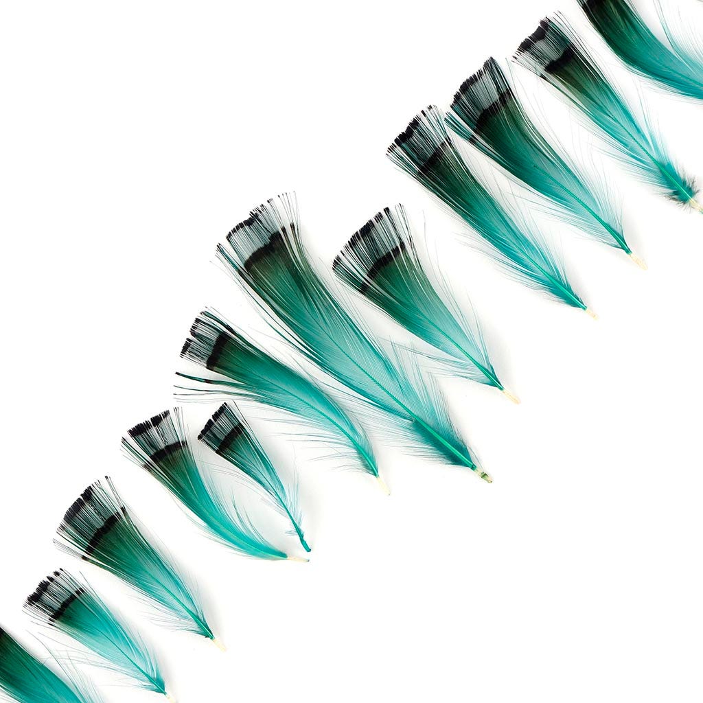 Pheasant Golden Crest Plumage 1-3.5" - Aqua Marine