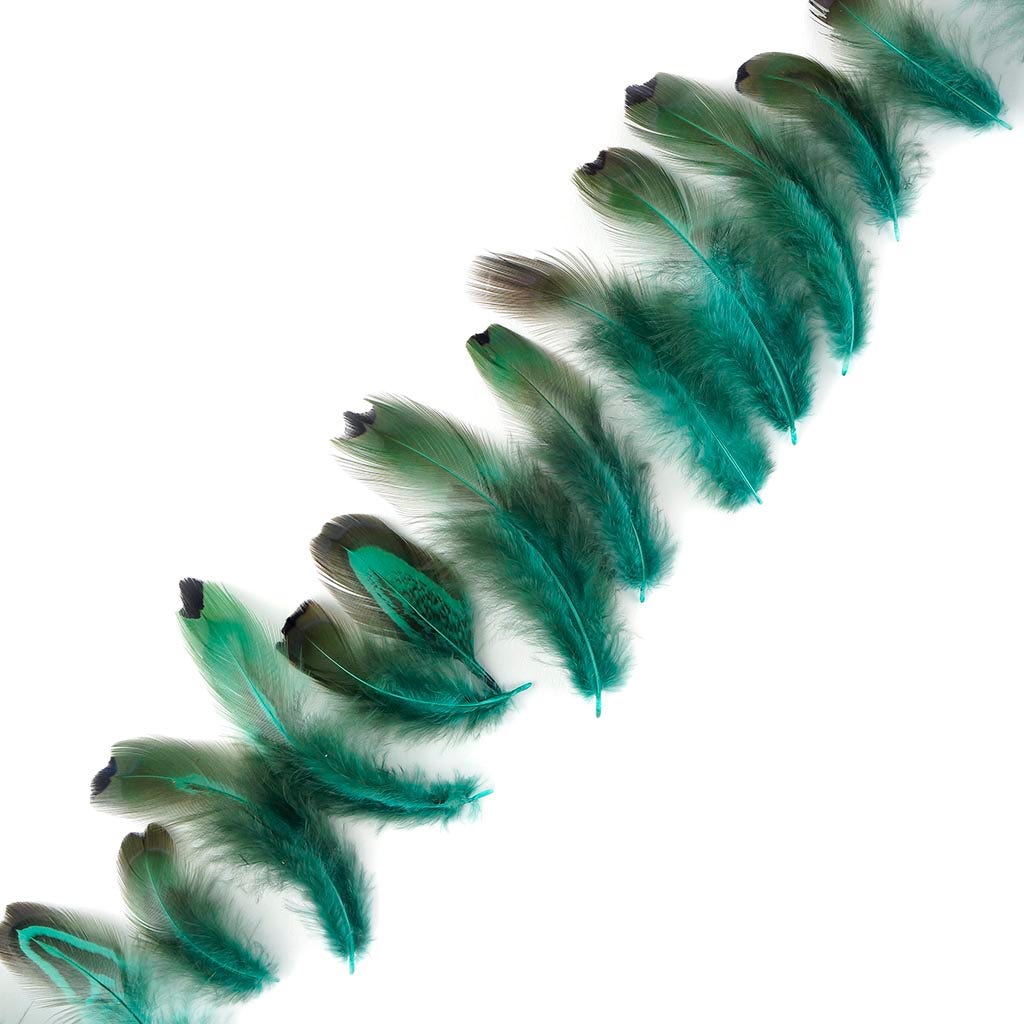 Heart Pheasant Plumage Dyed - Dark Aqua