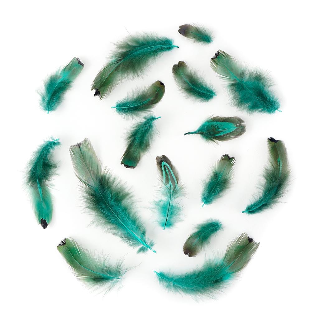 Heart Pheasant Plumage Dyed - Dark Aqua