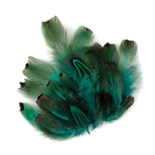 Ringneck Plumage-Heart Dark Aqua