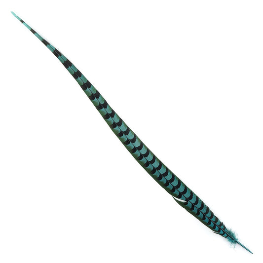 Venery Pheasant Tails - Dyed - 30 - 40" 1pc Aquamarine