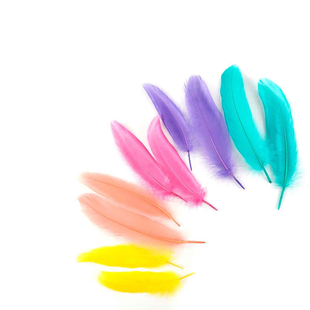 Loose Goose Satinettes Feathers Mix Dyed - Cakemix
