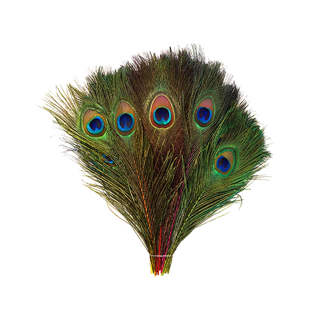 Peacock Tail Eyes Stem Dyed Mix - Neon Mix