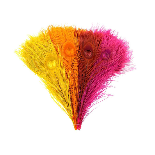 Peacock Tail Eyes Bleached and Dyed - 8-15” - 100 pc - Fiesta Mix