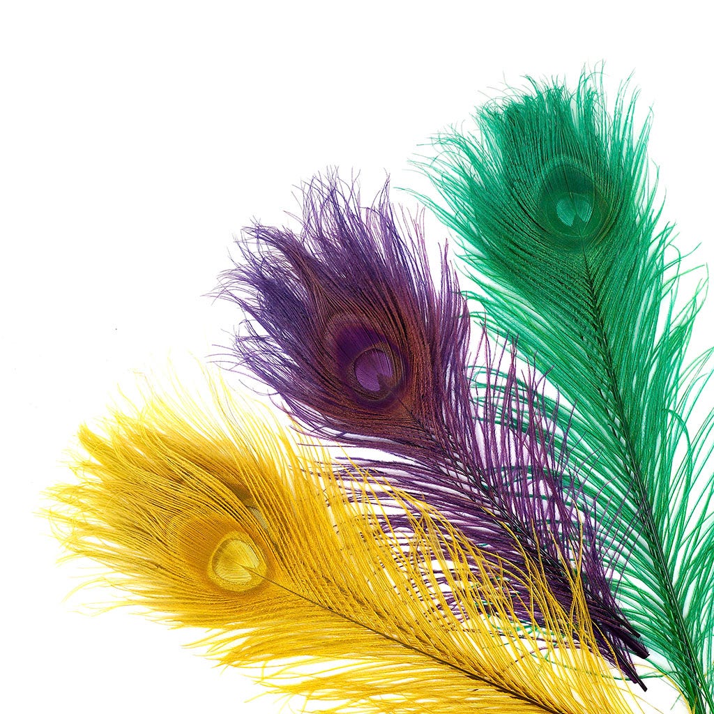Peacock Tail Eyes Bleached Mix - Mardigras Mix - 8-15"