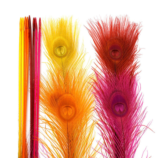 Peacock Tail Eyes Bleached Mix - Fiesta Mix