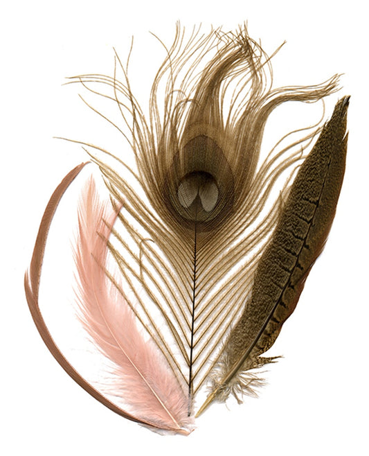 Peacock - Pheasant - Goose Mix - CHP - GIRD - N