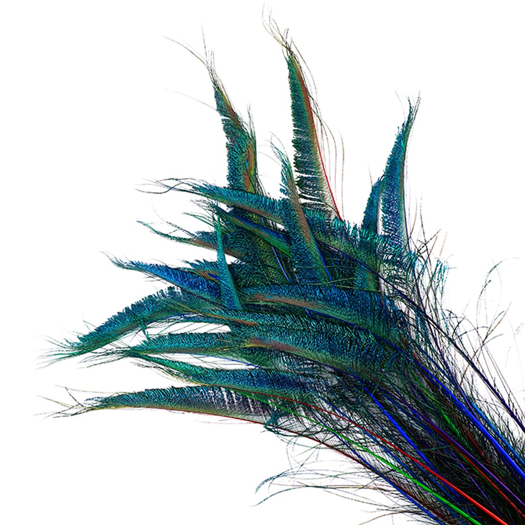 Peacock Swords Stem Mix Dyed - Jewel Mix