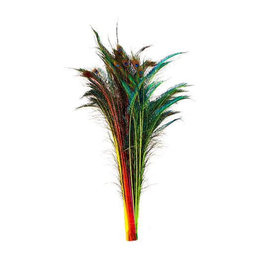 Zucker Feather Products Peacock Swords Bleach Mix Dyed - Mardigras