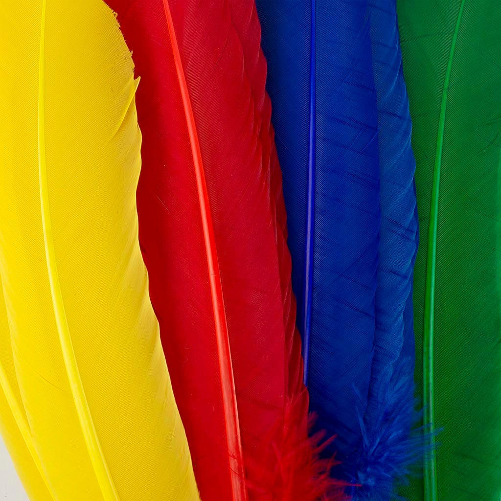 Turkey Quills Mix Colors by Pound - Assorted Mix