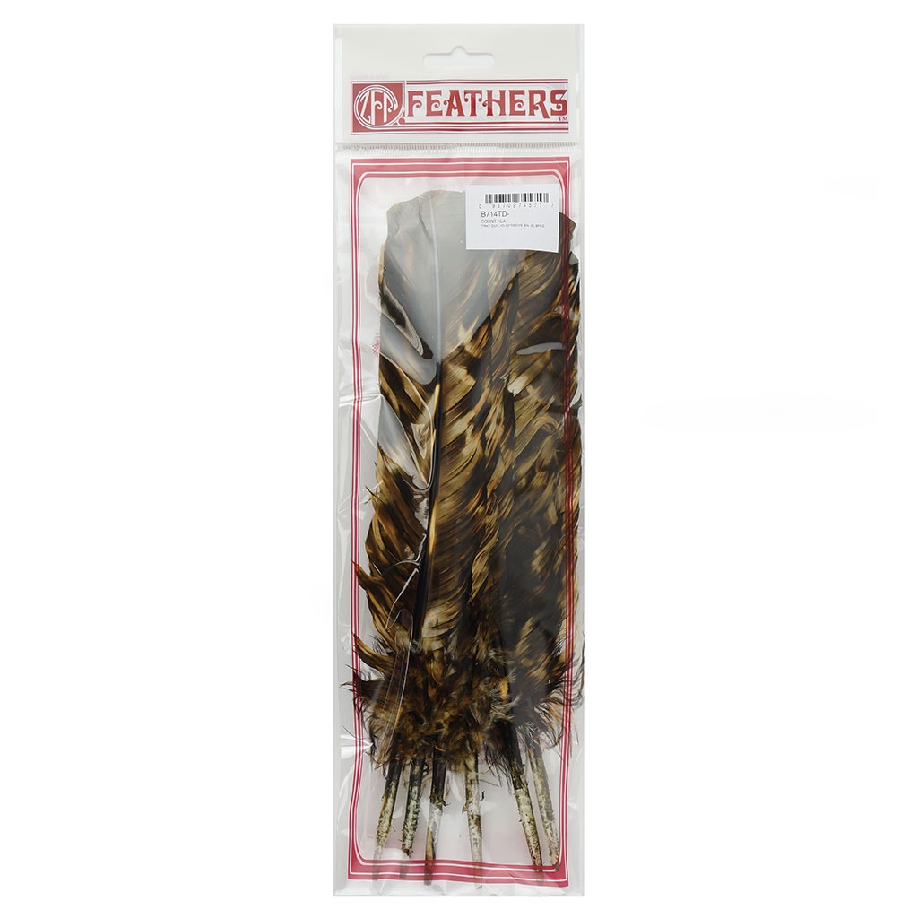 Turkey Quill - Tie Dye - Beige and Brown