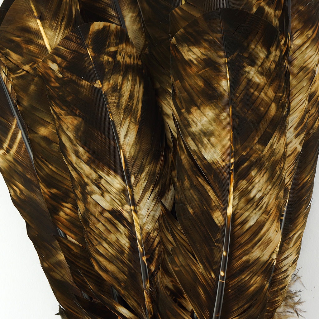 Turkey Quill Left Wing - Tie Dye - Beige & Brown