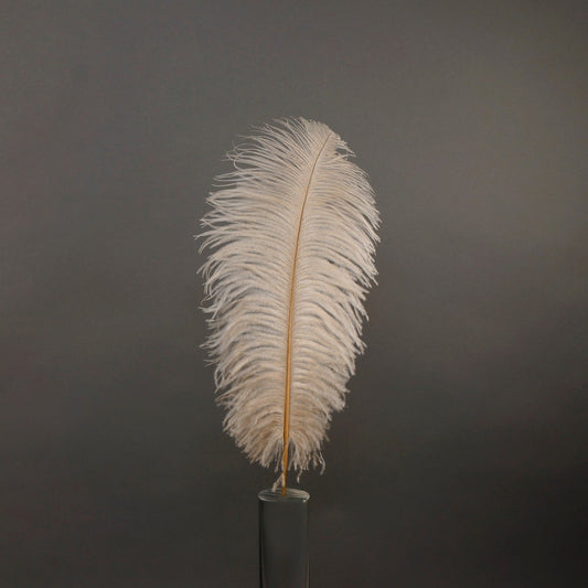 1 PC PKG Ostrich Feather Drabs Dyed 17" - Beige