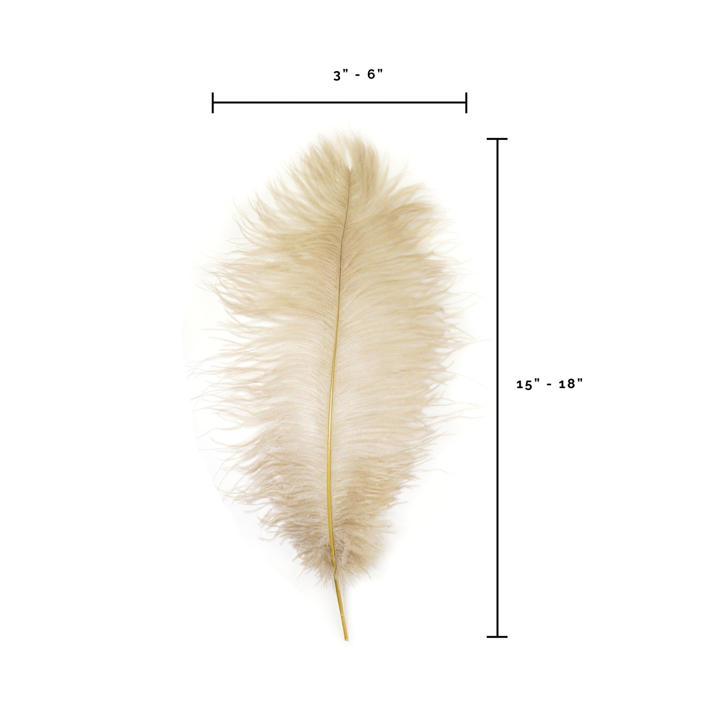 Ostrich Feathers-Narrow Drabs - Beige