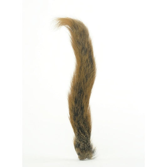 Squirrel Tails; Whole Tails - Natural Red