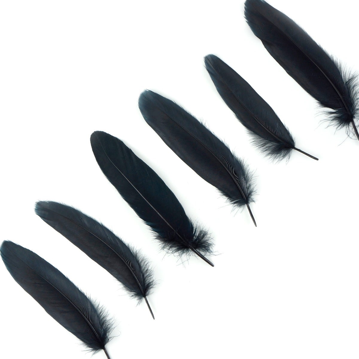 Goose Pallet Feathers 6-8" - 12 pc - Black