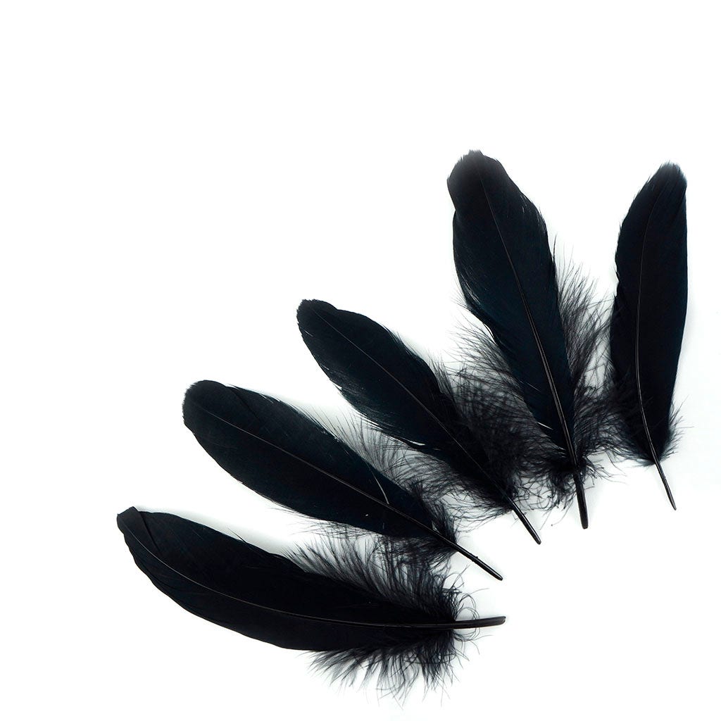 Goose Satinette Feathers Dyed - Black - 1/4 lb