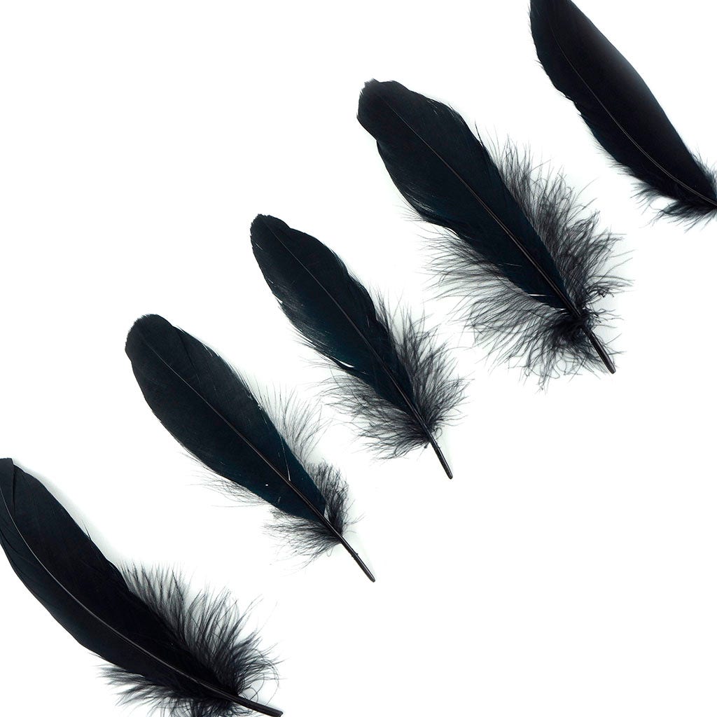 Goose Satinette Feathers Dyed - Black - 1/4 lb