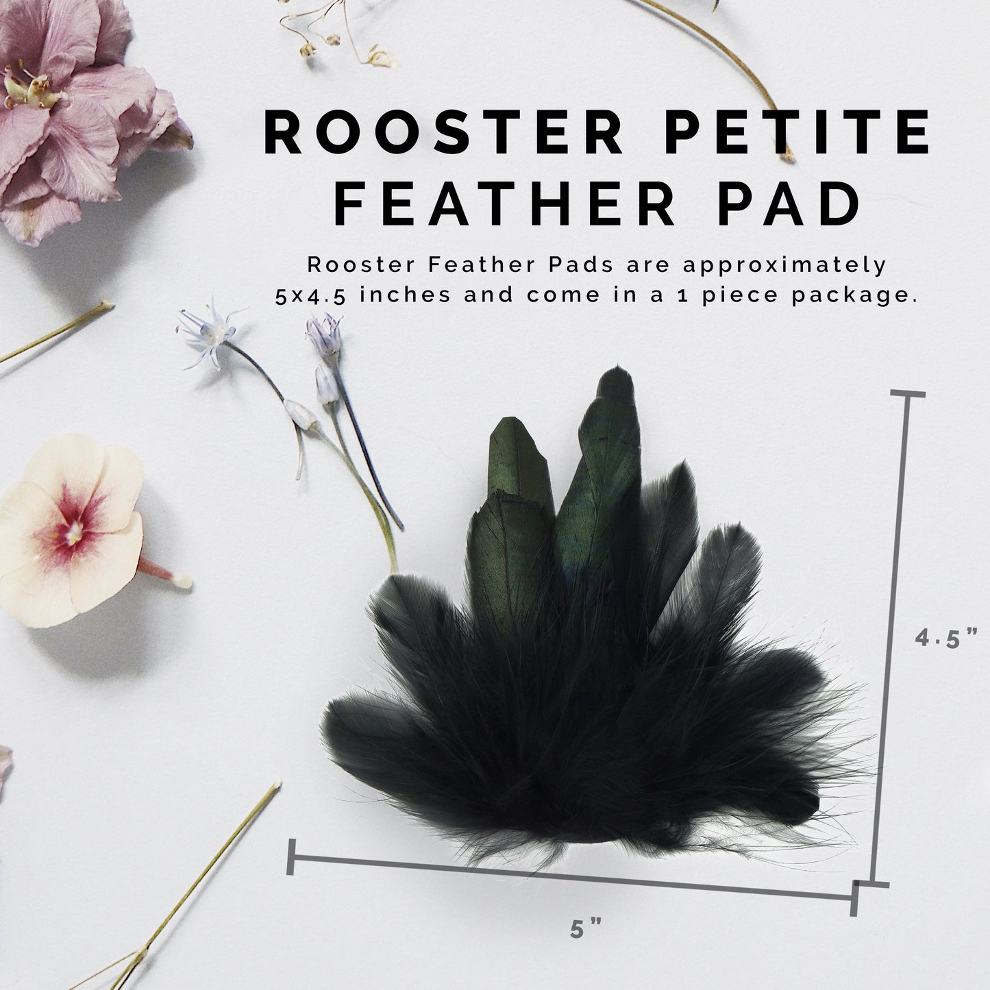 Rooster Petite Feather Pad - Natural