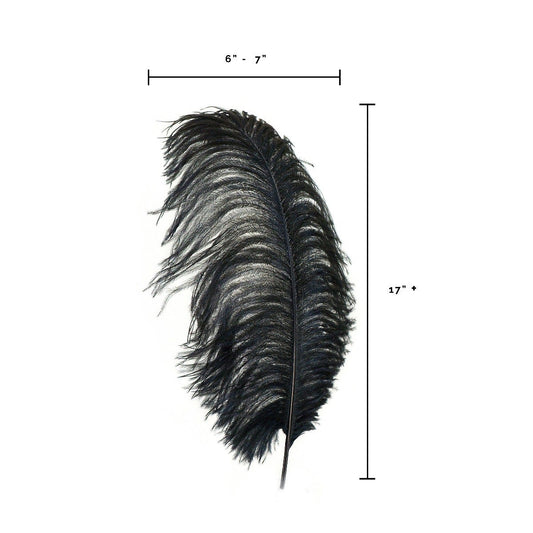 Bulk Black Feathers