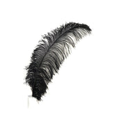 Feather Types – featherplace.com by Zucker Feather Products, Inc.