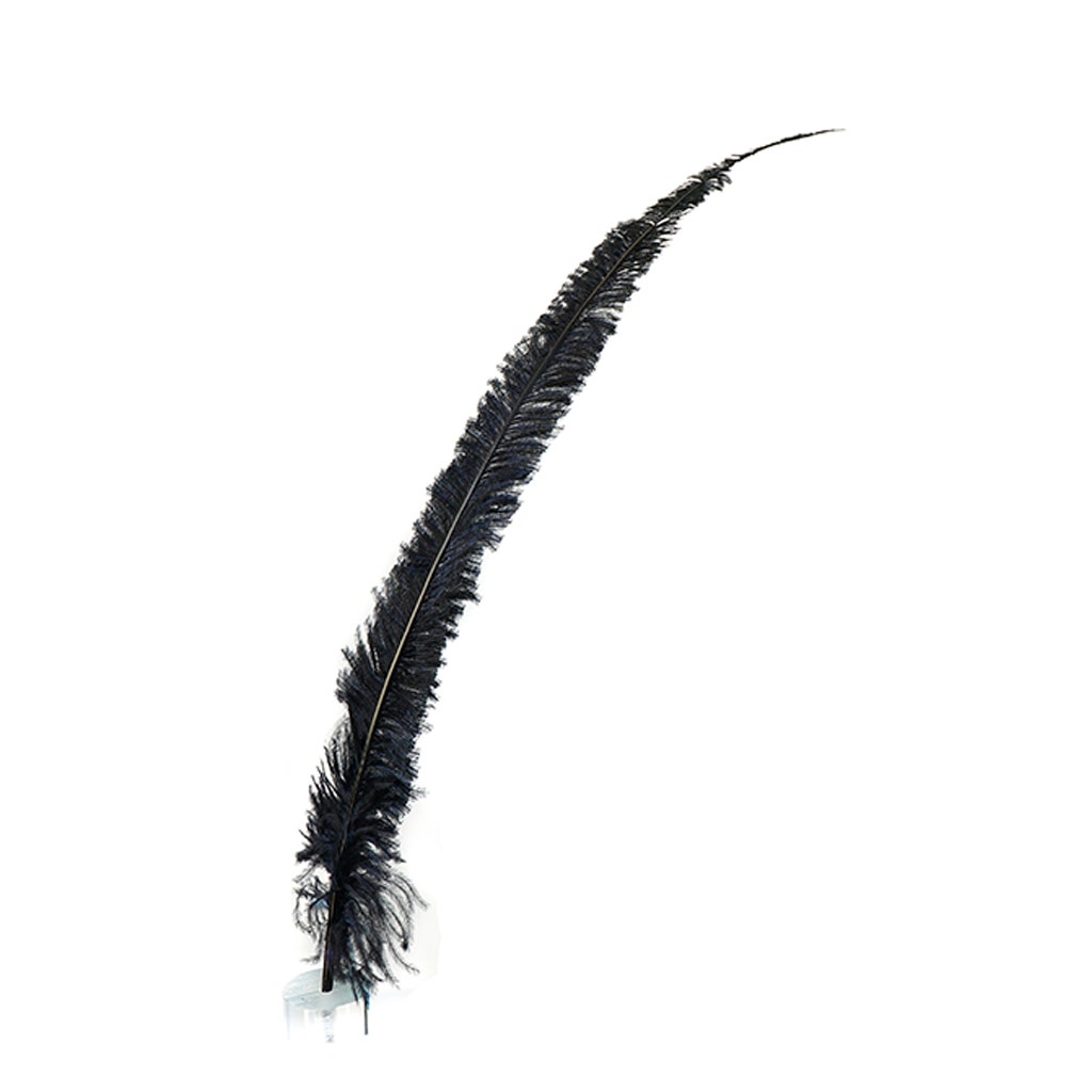 Ostrich Nandu Feathers Selected 12 PCS - Black