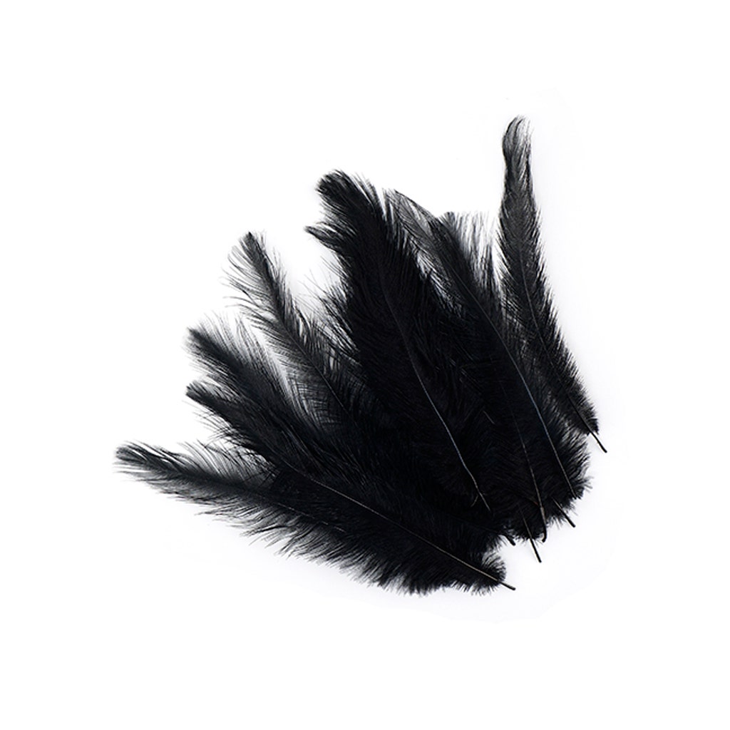 Rhea Tail Black Feathers Selected For Sale | Buy Craft Feather ...