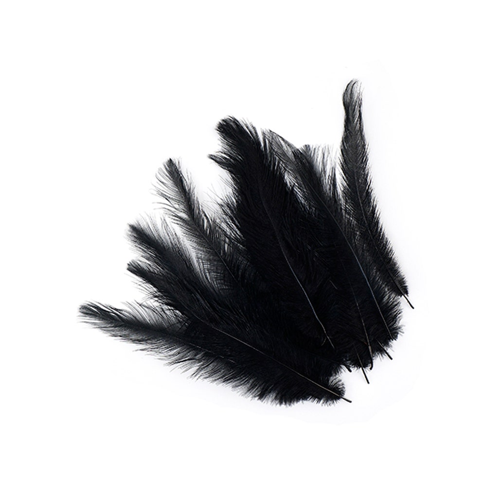 Rhea Tail Feathers Selected - Black