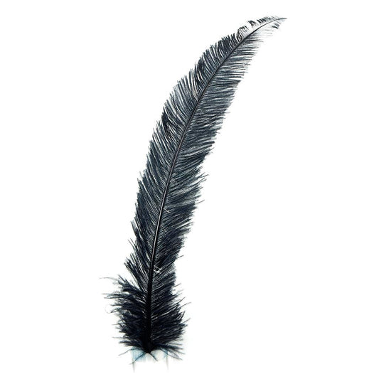 Ostrich Spad Feathers Trimmed w/Natural Markings Black