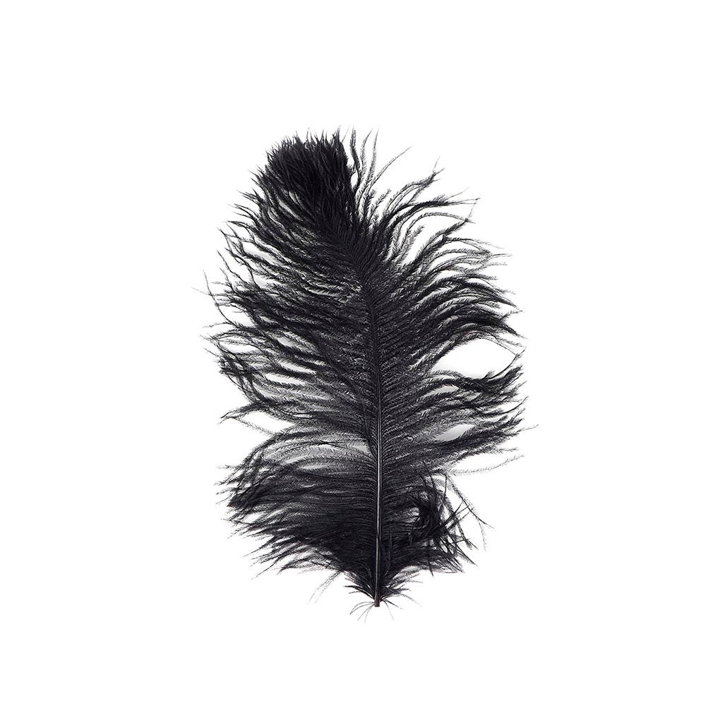 Ostrich Tail Feathers - Cut Tops - 5-11 inch - 12 pcs - Black