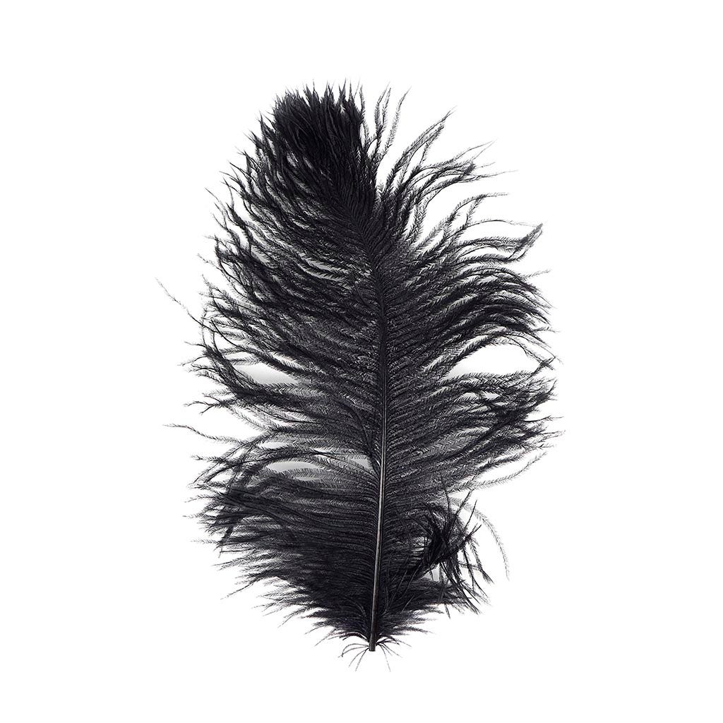 Ostrich Tail Feathers - Cut Tops - 5-11 inch - 12 pcs - Black