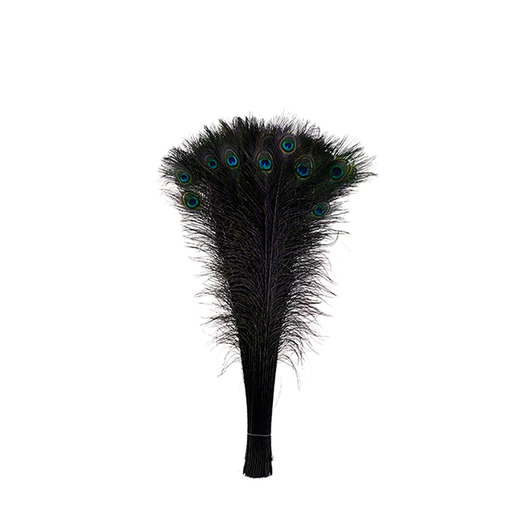 Peacock Tail Eyes Stem Dyed - 25-40 Inch - 100 PCS - Black