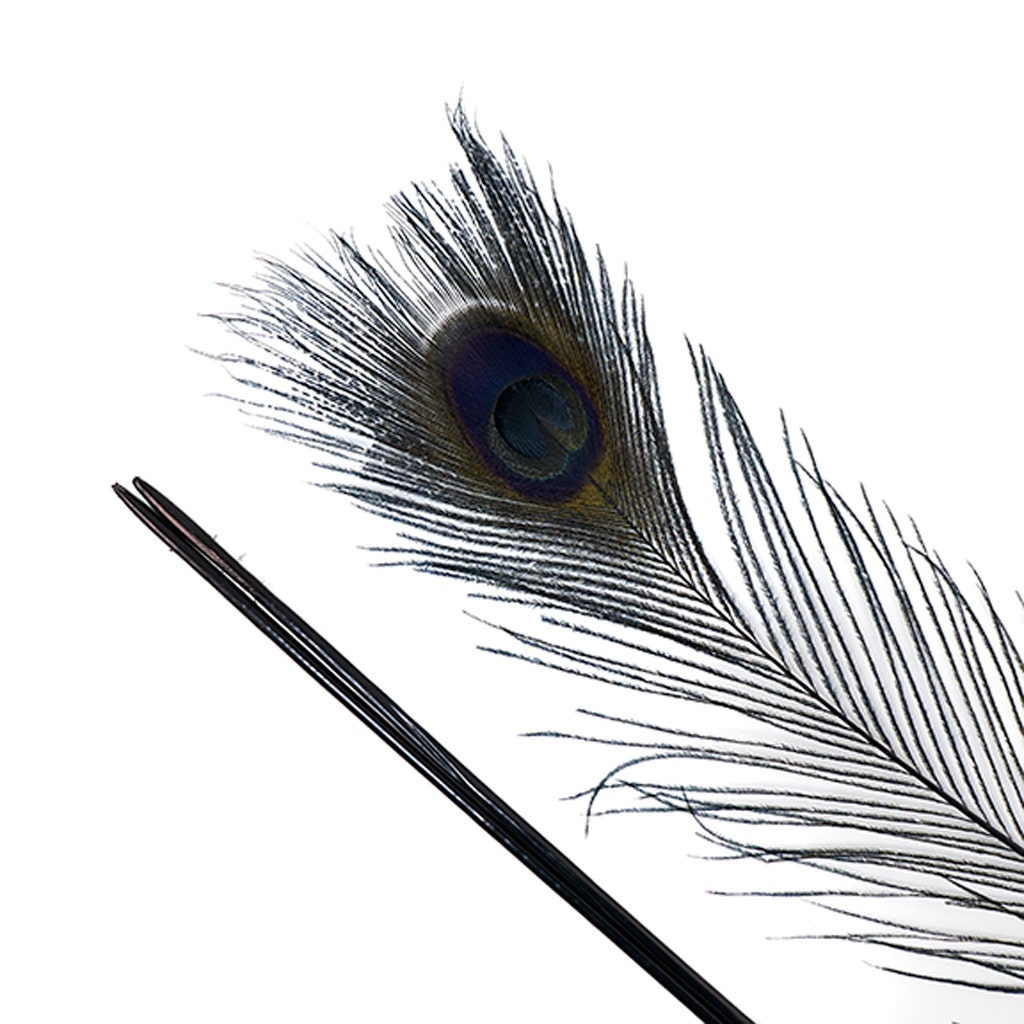 Peacock Tail Eyes Bleached Dyed - 25-40 Inch - 100 PCS - Black