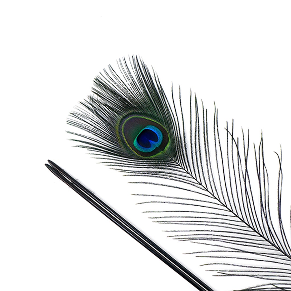 Peacock Feather Eyes Stem Dyed - 25-40 Inch - 10 PCS - Black