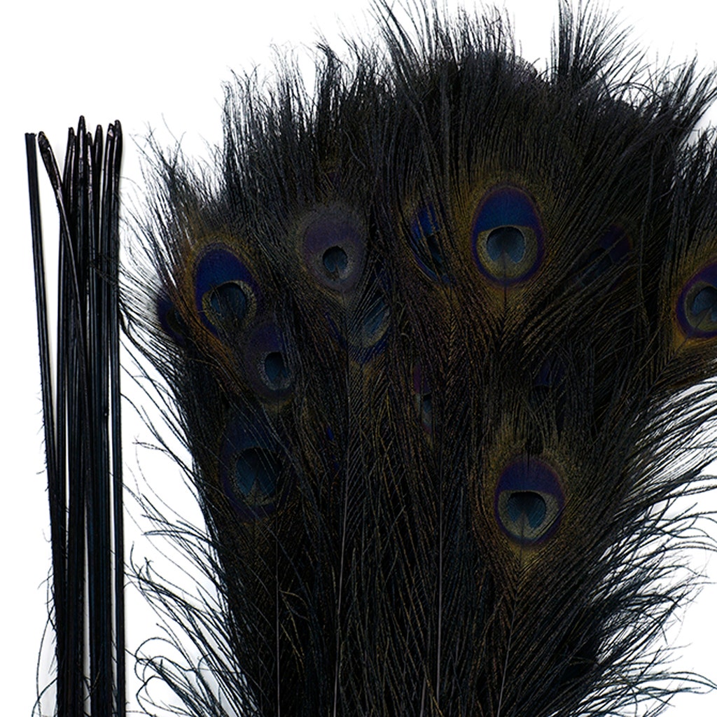 Peacock Tail Eyes Bleached/Dyed - 25-40 Inch - 10 PCS - Black