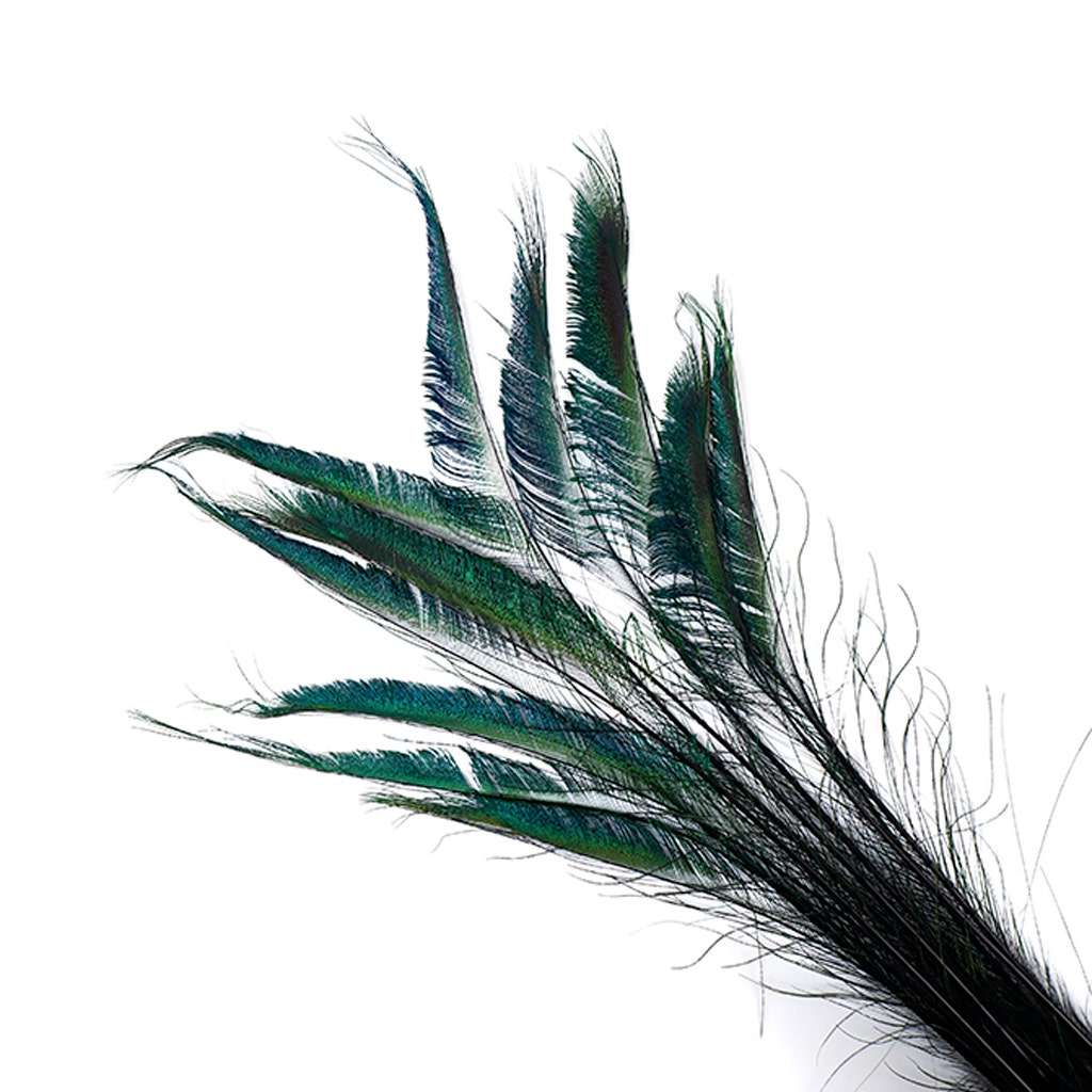 Peacock Swords Stem Dyed - Black