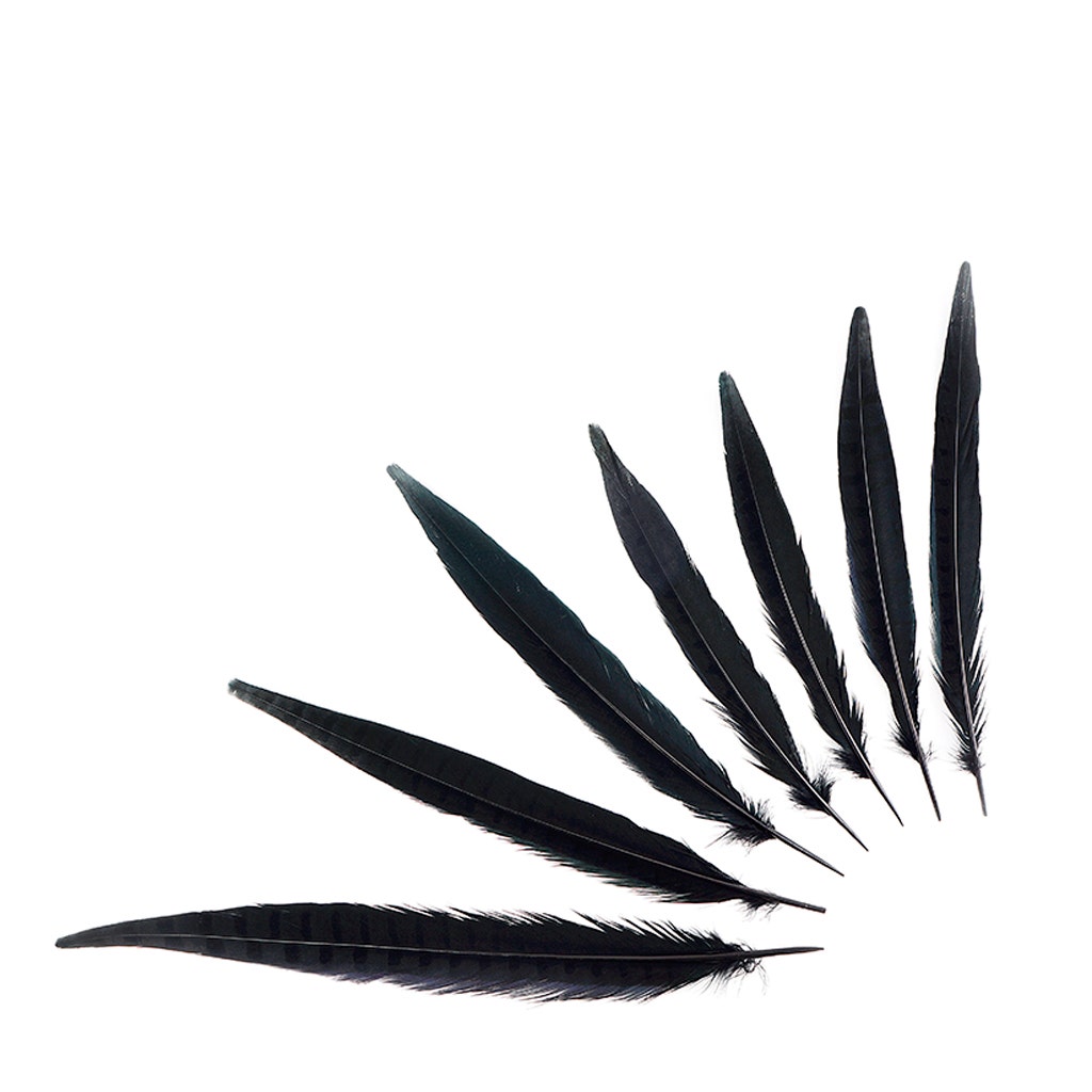 Feather Assortment Set: Types of Feathers - Feather Varieties