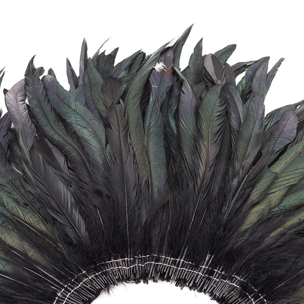 Rooster Coque Tails Feathers Black Iridescent 10-12 " [1 yard roll]