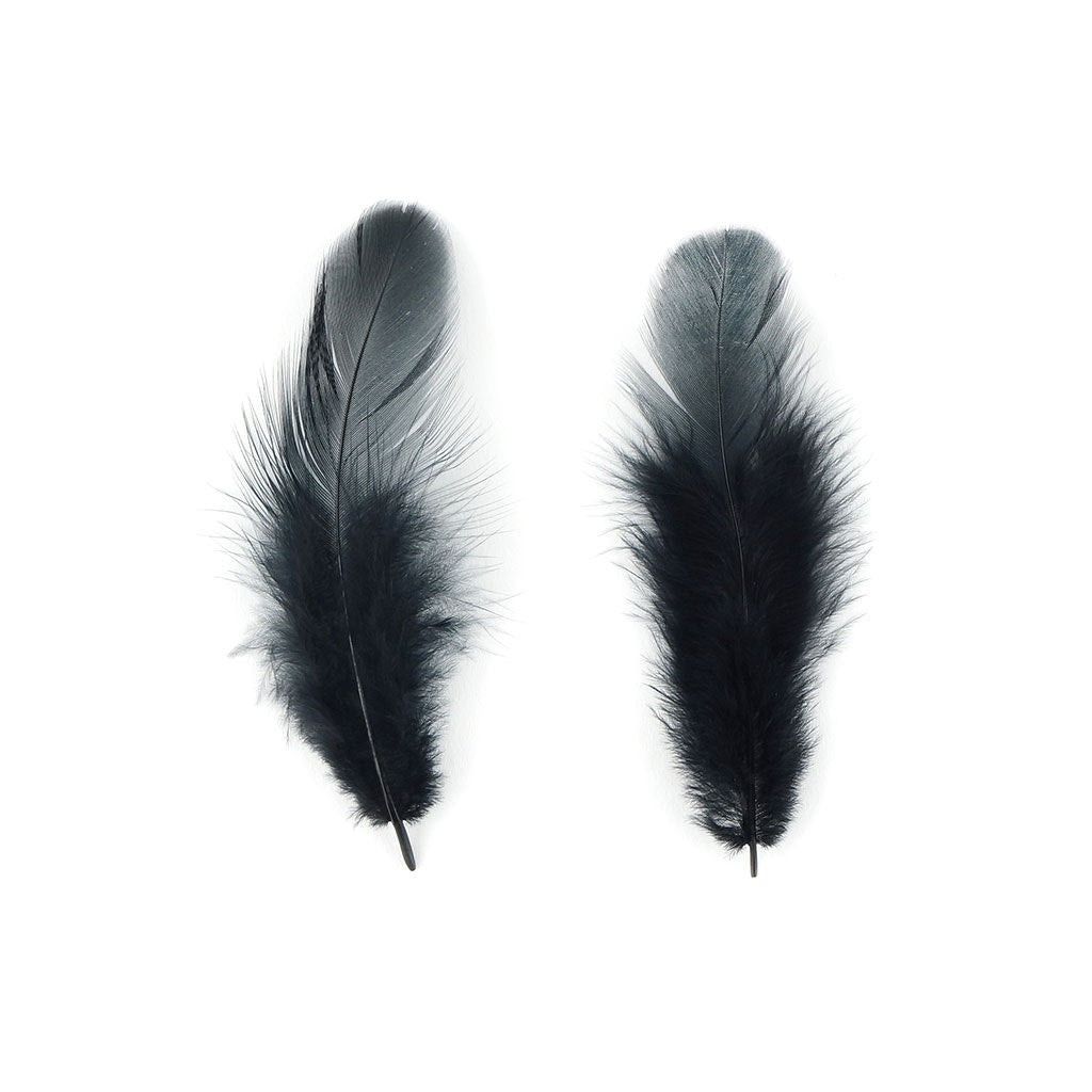 Rooster Plumage-White-Dyed - Black
