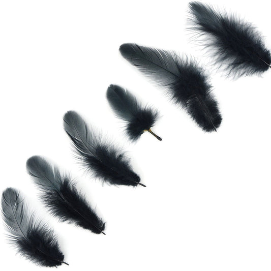 Rooster Plumage-White-Dyed - Black