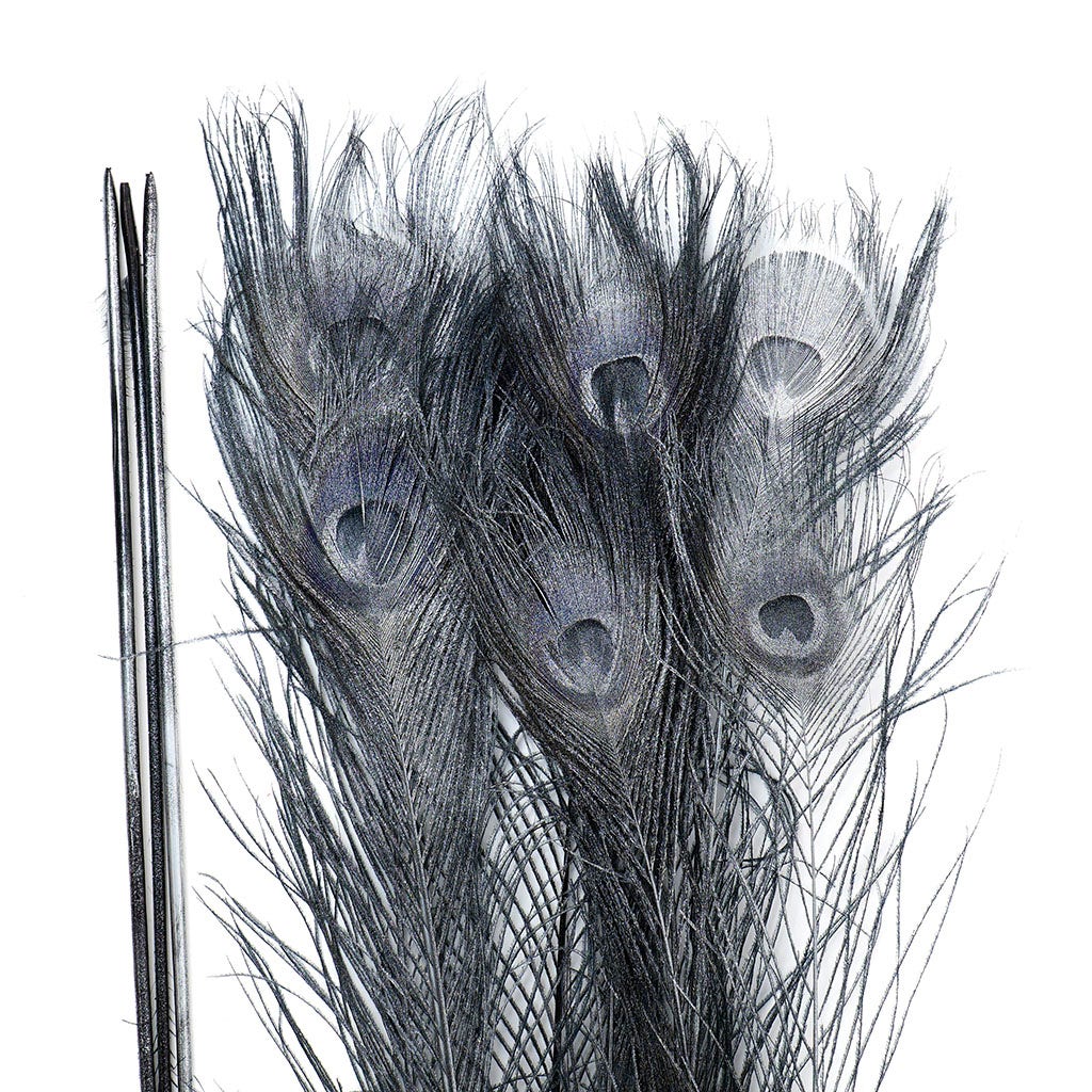 Peacock Tail Eyes Sprayed - Black/Silver Lurex - 30 - 40"
