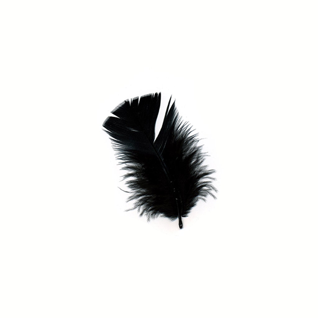 Loose Turkey Plumage Feathers - 0.5 oz - Black