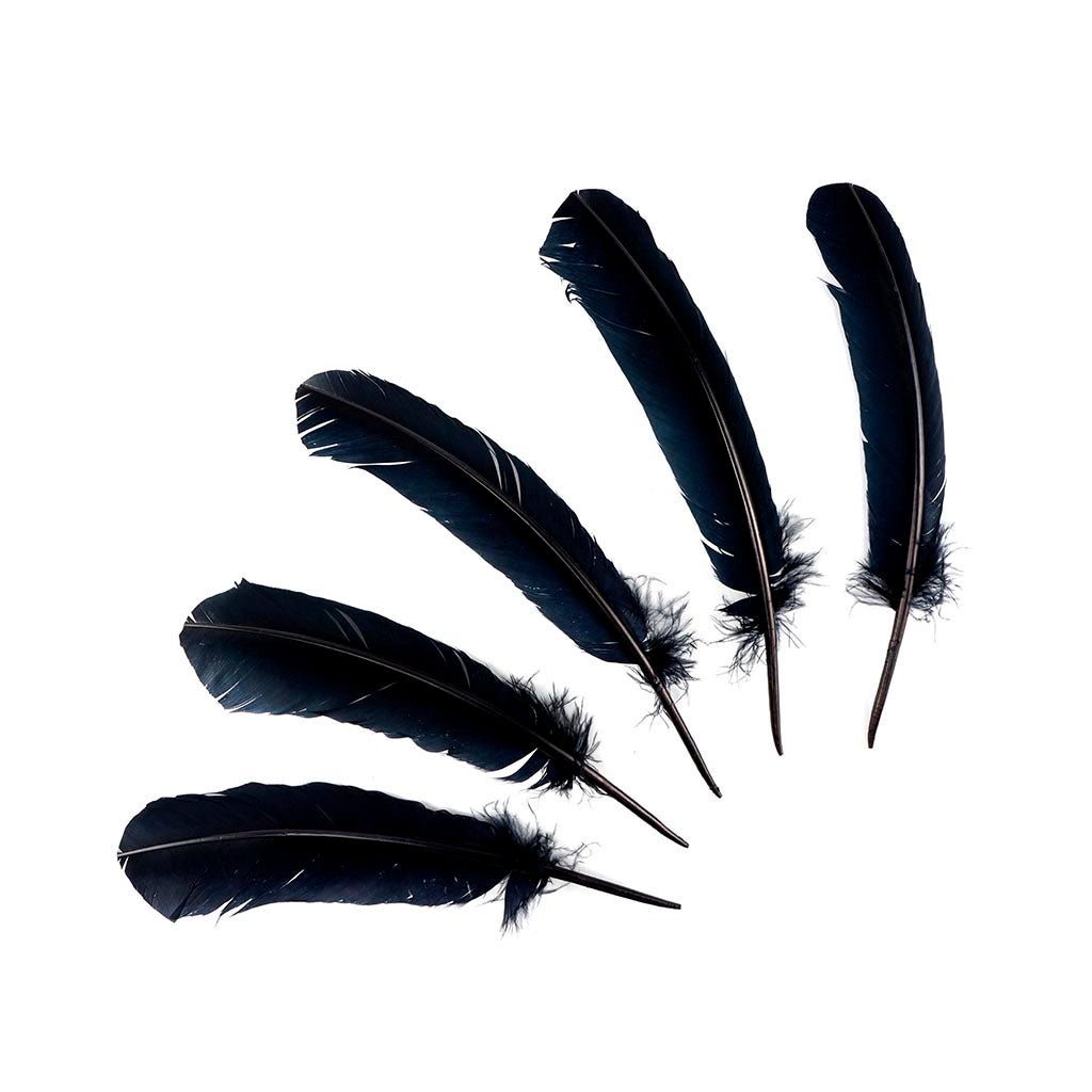 Turkey Quills Selected - Black