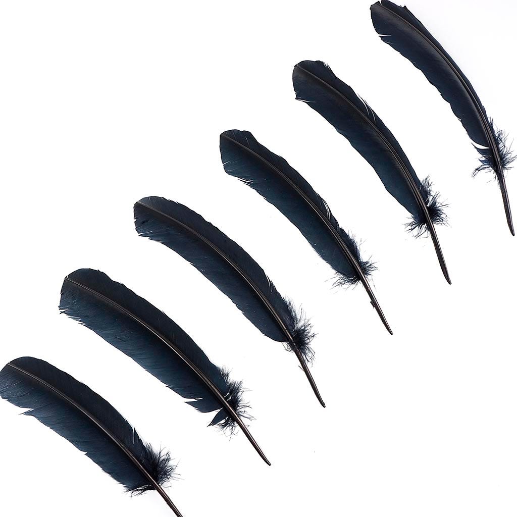 Turkey Quills Selected - Black