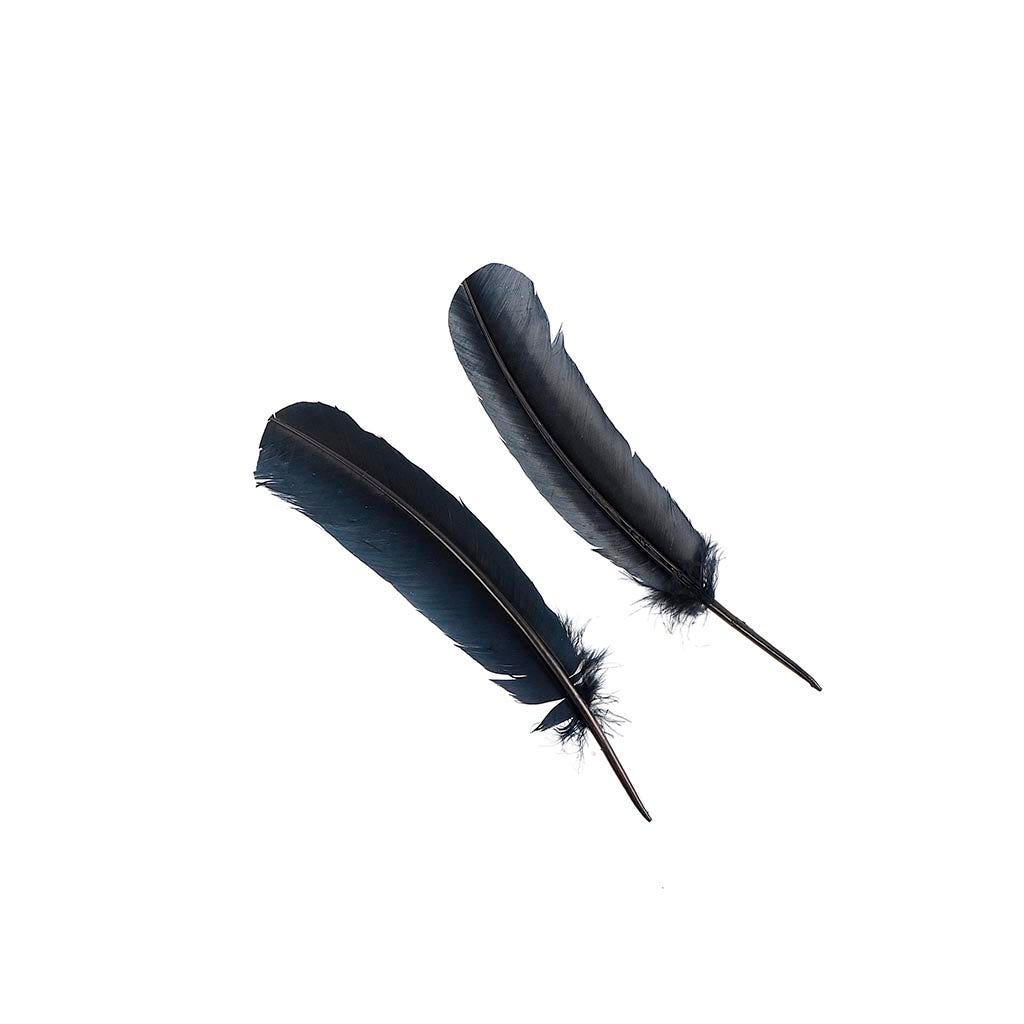 Turkey Quills Selected - Black