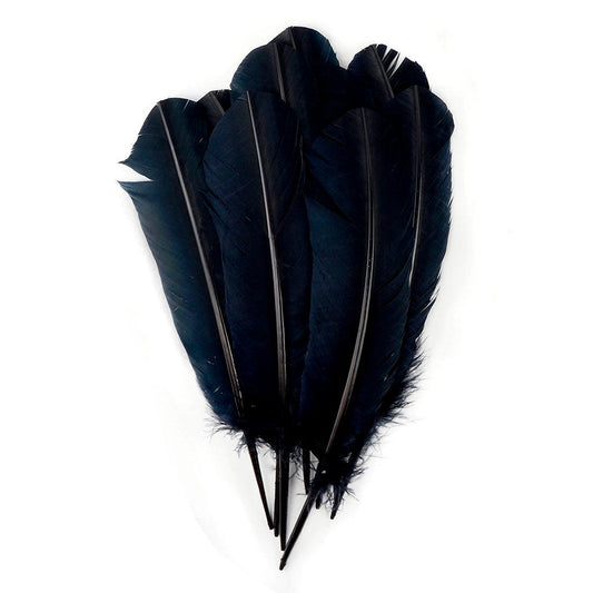 Turkey Quills Selected - Black